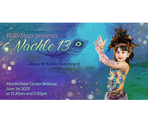 Bollysteps Nachle 13